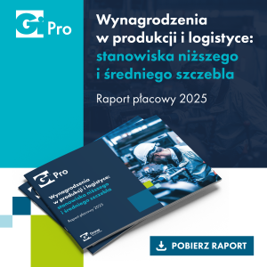baner - Raport płacowy Gi Pro 2025